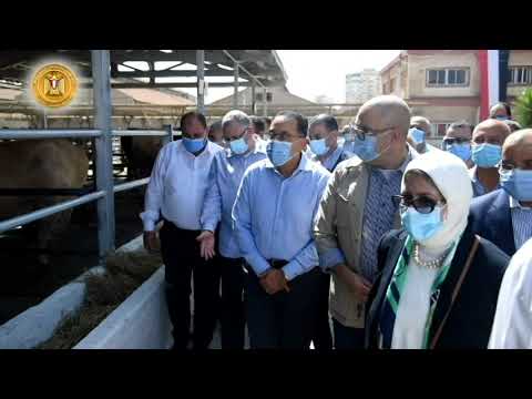 تابع جولة رئيس مجلس الوزراء في محافظة كفر الشيخ lyteCache.php?origThumbUrl=https%3A%2F%2Fi.ytimg.com%2Fvi%2F1Q5nMJDVSuQ%2F0