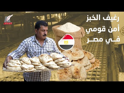 لتوفير رغيف الخبز.. كيف تواجه مصر الزيادة في أسعار القمح عالميا؟ lyteCache.php?origThumbUrl=https%3A%2F%2Fi.ytimg.com%2Fvi%2F48oT3PaCdSA%2F0