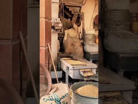 محافظة الغربية