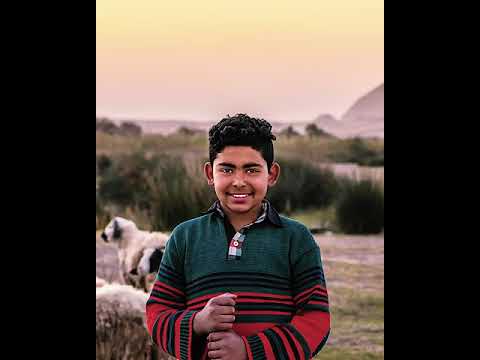 محافظة الجيزة