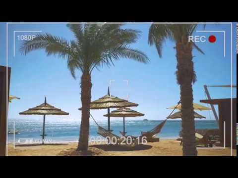 هذا ما ستجده عندما تقيم في أي من فنادق البحر الأحمر التي حصلت على شهادة السلامة الصحية lyteCache.php?origThumbUrl=https%3A%2F%2Fi.ytimg.com%2Fvi%2FZtdUTegEw4g%2F0