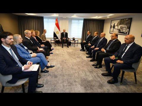 الرئيس عبد الفتاح السيسي يستقبل الممثلة العليا للاتحاد الأوروبي للشؤون الخارجية والسياسة الأمنية