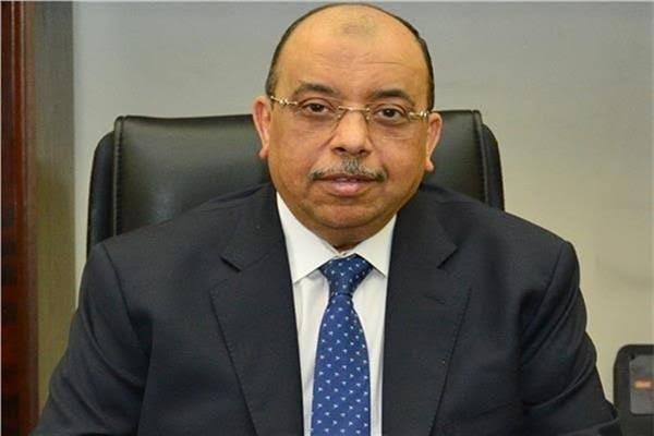 صندوق التنمية المحلية تنفيذ 264 مشروع بإستثمارت 3,2 مليون جنية 80625