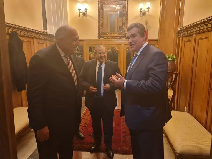 الوزير سامح شكري يستقبل رئيس لجنة العلاقات الخارجية بالبرلمان الروسي 84360