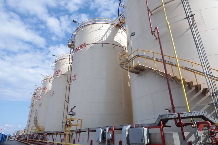 128206166_1793022320876125_7108142694481