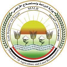 وزير الزراعة يعلن ارتفاع صادرات مصر الزراعية إلى حوالي 4 48596