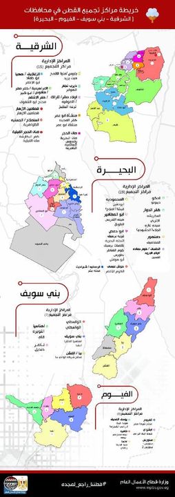 ارتفاع كميات القطن المباعة في المزادات حتى الآن لـ54.9 ألف قنطار بـ4 محافظات 90268