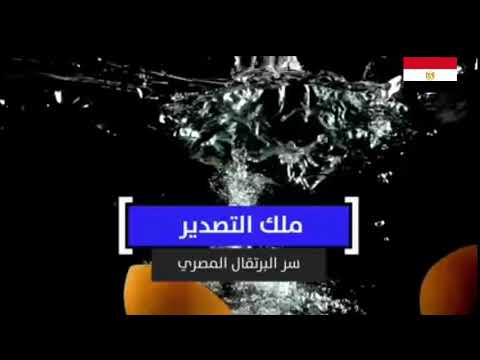 البرتقال المصري رقم واحد في التصدير hqdefaul 28