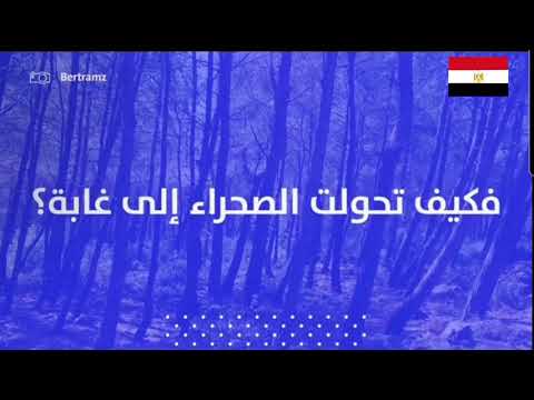 غابة سرابيوم محاربة التصحر بمياه الصرف الصحي hqdefau 124