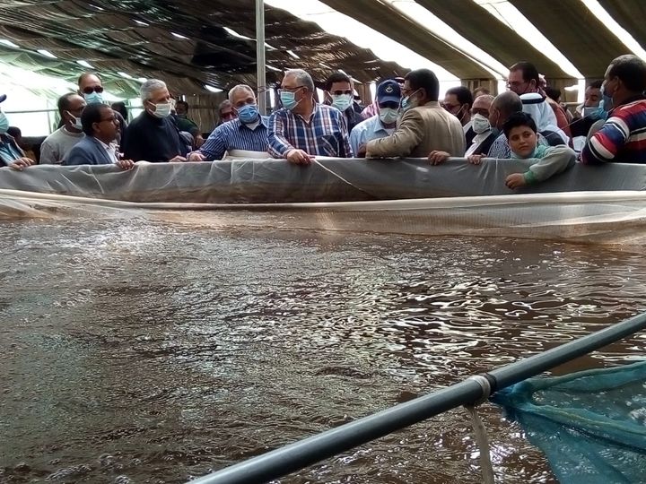 وزير الزراعة ومحافظ جنوب سيناء يتفقدان مزرعة الاستزارع السمكي والصوب الزراعية بمدينة نويبع 41337