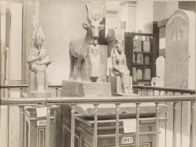 المتحف المصري شاهد على العصر من تفاصيل العرض المتحفى للقطع الآثرية بالمتحف المصري فى بدايات القرن العشرين EvKaAt9XUAA0seg