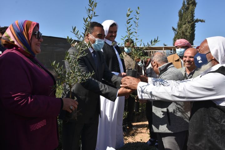 الزراعة: بحوث الصحراء يوزع ٥٠ الف شتلة زيتون مجانا علي مزارعي مطروح وسيوه استكمالا للزيارة التي قام بها 17487