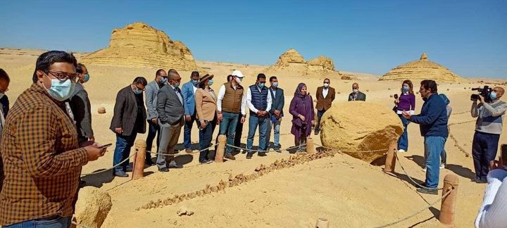 ضمن فعاليات رالى تحدى صحراء مصر: جولة داخل محميات الفيوم لتفقد أول موقع تراث طبيعى عالمى وزيرة البيئة : 33149