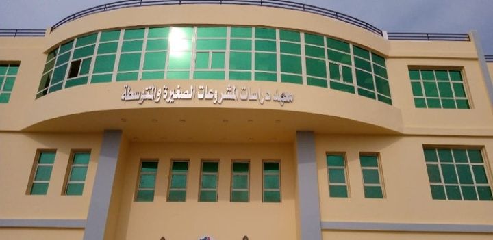 صور ميدانية للمشروعات التنفيذية التي تشهدها جامعة بني سويفPhotos from ‎وزارة التعليم العالي والبحث العلمي 87392