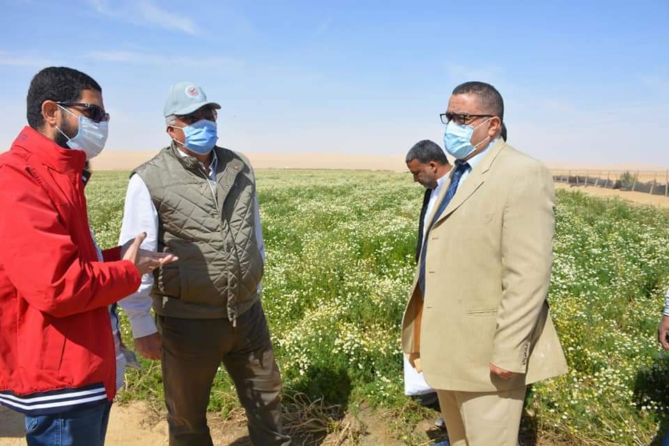 تفقد اللواء محمد الزملوط محافظ الوادي الجديد، بمركز الفرافرة إحدي مشروعات الإستثمار الزراعي لإنتاج EwSUaLRXMAU5Nqp
