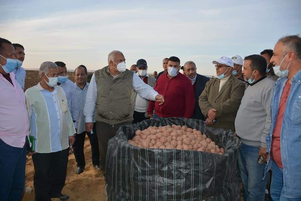 اللواء محمد الزملوط محافظ الوادي الجديد خلال زيارته لمركز الفرافرة، اليوم، يشهد حصاد محصول البطاطس بأحد EwSuo7wWYAM1uV6