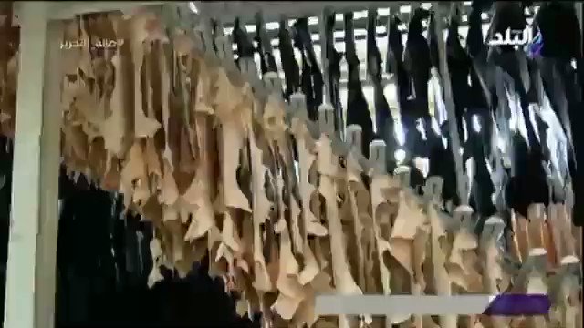 جولة داخل مدينة الروبيكى للجلود، وتعتبر أكبر وأحدث مدينة للجلود في الشرق الأوسط وأفريقيا، وتقع بالكيلو 45 Q7UCHZygNXnTaYaV