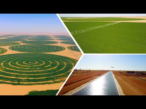 توشكى الخير hqdefau 290