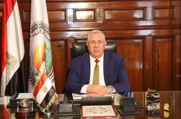 وزارة الزراعة واستصلاح الأراضي الزراعة صادرات مصر من البطاطس تتجاوز ال 380 ألف طن هذا العام 12079