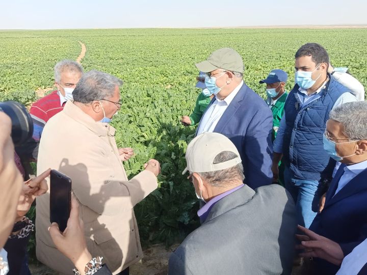 وزارة الزراعة واستصلاح الأراضي وزير الزراعة: مشروع غرب المنيا يأتي في إطار رؤية القيادة 44751