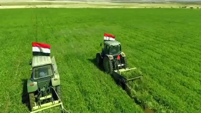 تفقد الرئيس عبد الفتاح السيسي، مشروع مستقبل مصر الزراعي بالصحراء الغربية، وذلك بمناسبة بدء موسم الحصاد، DOJwmT PfSX2kIWu