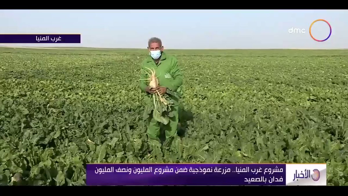 معهد البحوث الزراعية يواصل العمل بمشروع غرب المنيا لزراعة واستصلاح 20 ألف فدان ضمن المشروع القومي لاستصلاح VLQnf5bNmjzDug3G