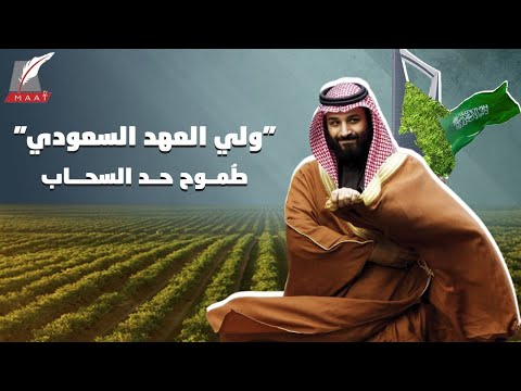 مشروع غير مسبوق لولي العهد السعودي في مجال البئية.. اكتشفه هنا hqdefaul 74