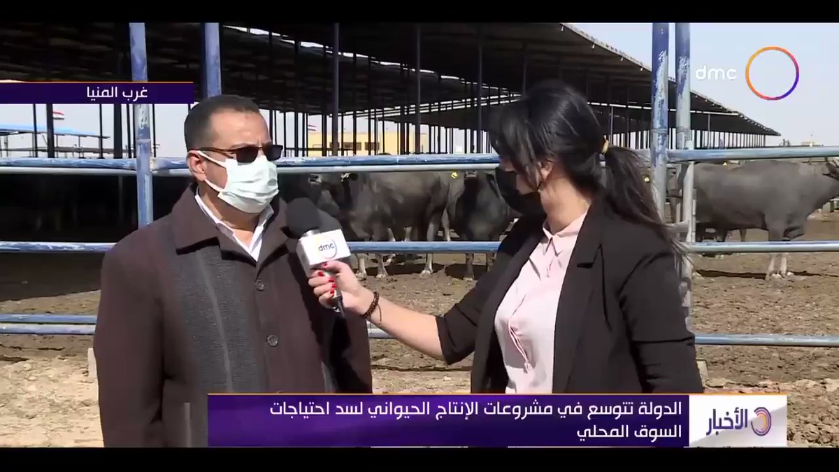 مشروع مزرعة الإنتاج الحيواني بمنطقة غرب غرب المنيا تعتبر نموذجاً للمشروعات الحكومية المتميزة والتى تشمل ktRZURzDS4bTZzAA