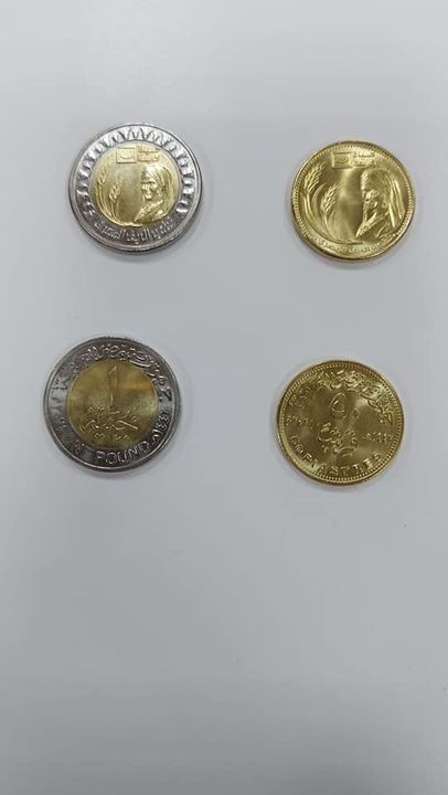 194874944_147383564098739_29148960620767