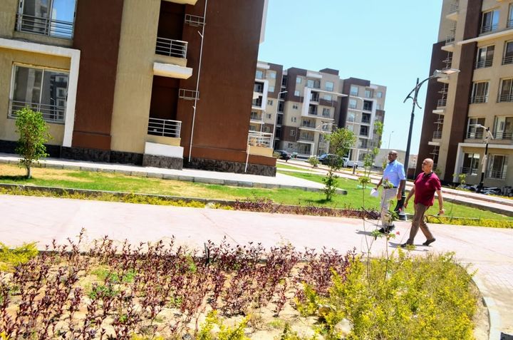 206205302_4063000857148595_7722547672937