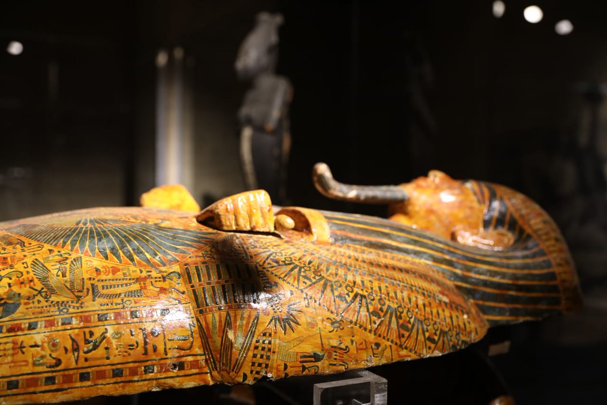 أسبوع المتاحف المتحف المصري في التحرير قادر على الازدهار مع ظهور متاحف جديدة في مصر و تحظى القاعة التي كانت