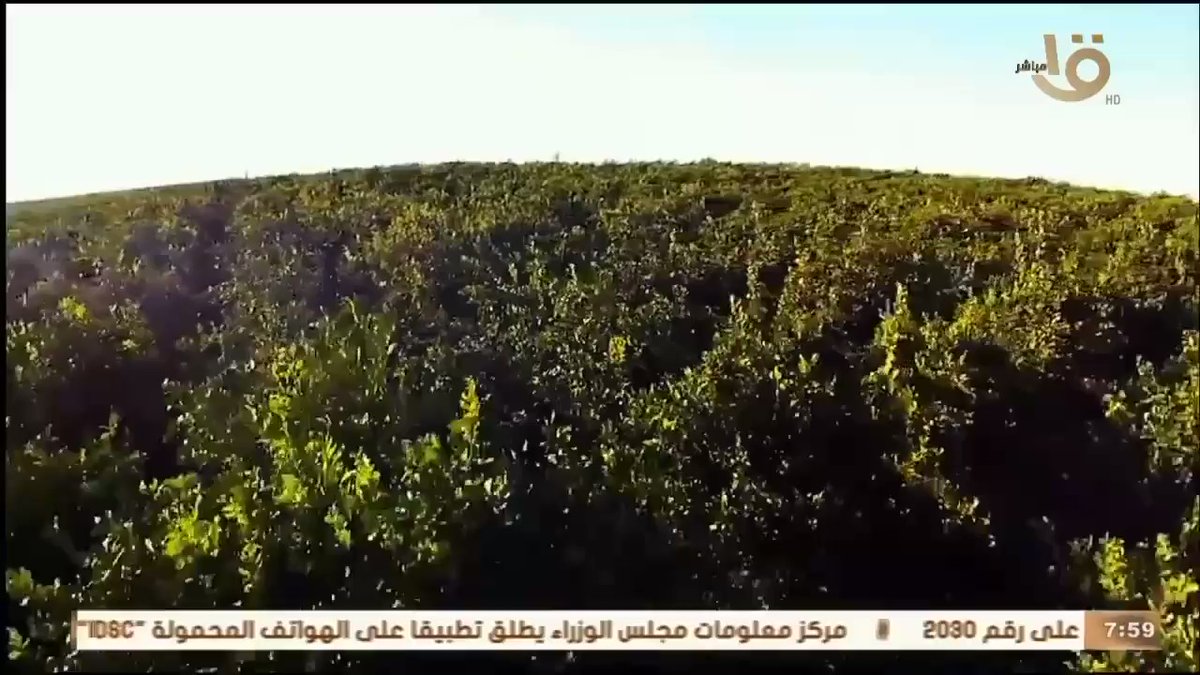 بدأت نتائج المشروعات القومية في التنمية الزراعية، حيث ساهم قطاع الزراعة في الناتج المحلي الإجمالي بنحو 669 GtIJXIE Po1h6vIn