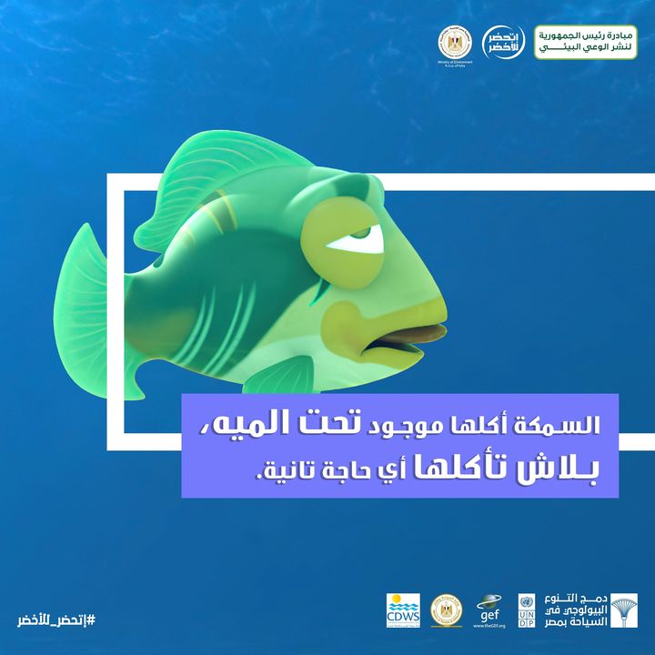 بنحب نرمي أكل دايماً ليهم، بس مبنبقاش عارفين إنها حاجة ممكن تأذيهم 24846
