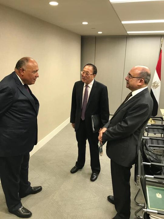 وزير الخارجية يؤكد لمندوبي روسيا والصين لدى الأمم المتحدة على ضرورة اضطلاع مجلس الأمن بمسئولياته تجاه قضية 64360