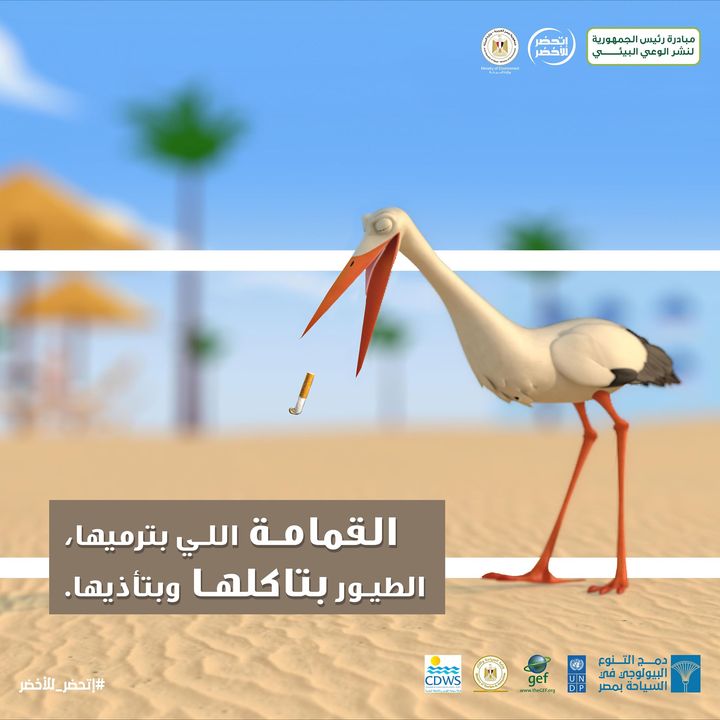 بأصغر حاجة ممكن ترميها، بتأثر في الطيور وبتأذيها 77848
