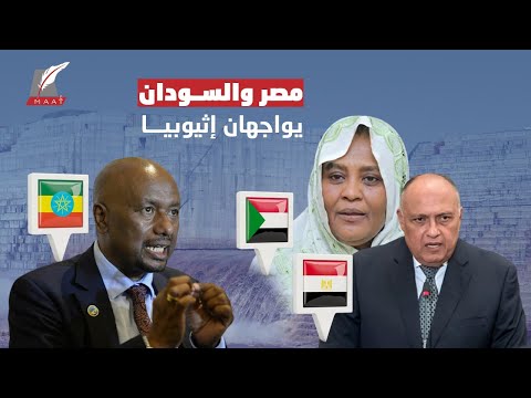 جلسة عاصفة وكلمات نارية.. ماذا تنوي مصر والسودان بعد وصول أزمة سد النهضة لطريق مسدود؟ hqdefaul 82