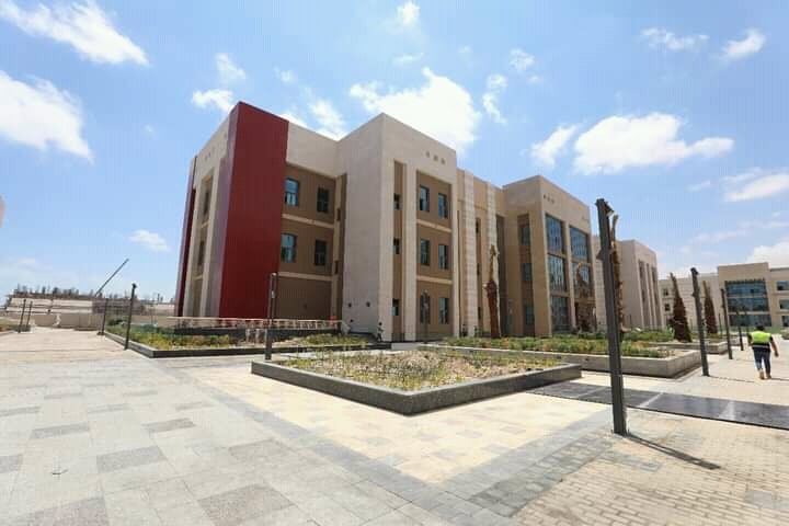 وزير التعليم العالي: الشراكات الدولية والبرامج الحديثة على رأس أولويات جامعة العلمين الدولية أكد د 33204
