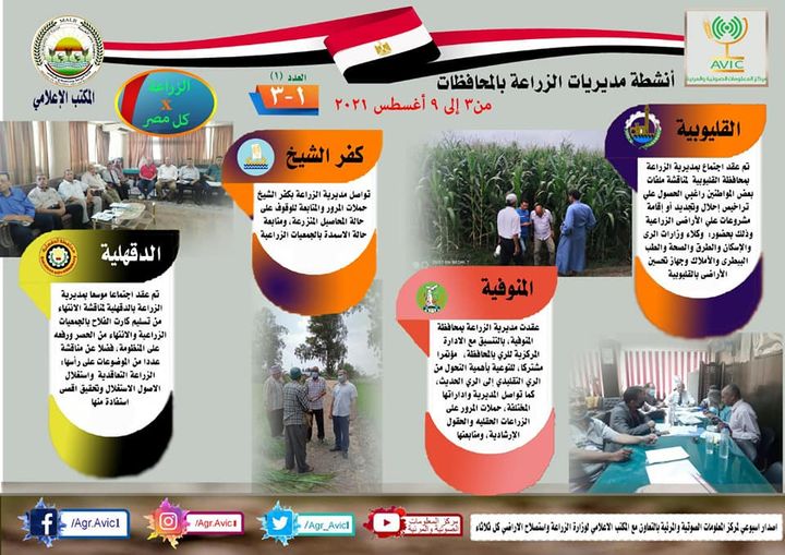 وزارة الزراعة واستصلاح الأراضي: الزراعة في كل مصر 47934