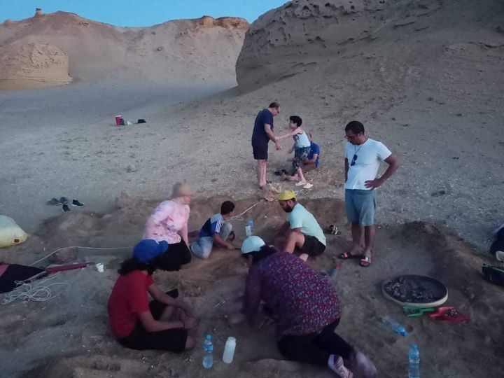 استمراراً لبرامج وزارة البيئة لتدريب الشباب ودمجهم فى العمل البيئى: البيئة تنظم تدريب لإعداد كوادر شابة 88457