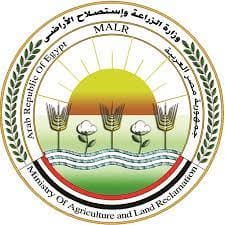وزارة الزراعة واستصلاح الأراضي: الزراعة تستعرض إنجازات مشروع حصر ومكافحة العفن البني في 91434 1