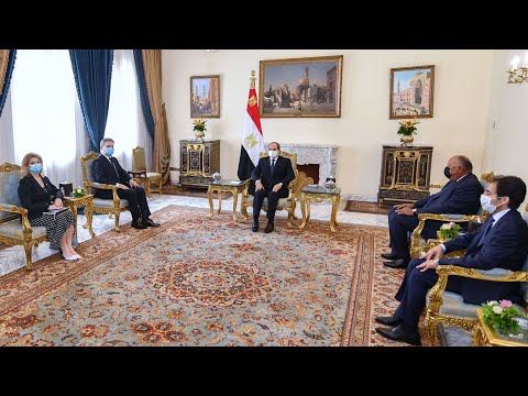 الرئيس عبد الفتاح السيسي يستقبل وزير خارجية جمهورية صربيا hqdefau 126
