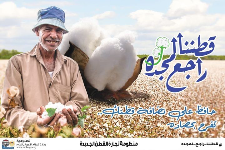 وزارة قطاع الأعمال العام: قطاع الأعمال: بسعر 3865 جنيها للقنطار 14380