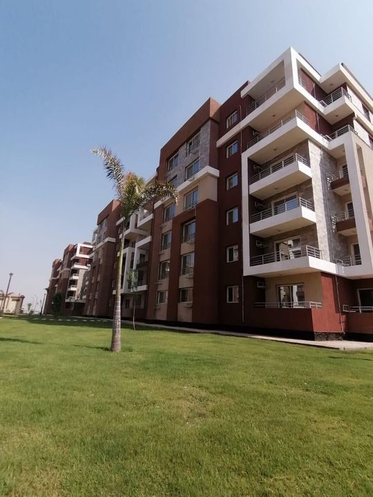 241174881_4275961975852481_2839234087701