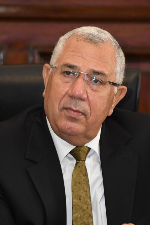 وزارة الزراعة واستصلاح الأراضي: وفقا لتقرير وزارة الزراعة الأسبانية مصر أكبر مصدر للبرتقال 23454