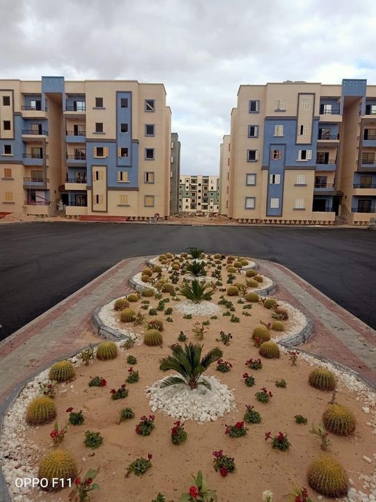 241419900_4275963812518964_3185829219488