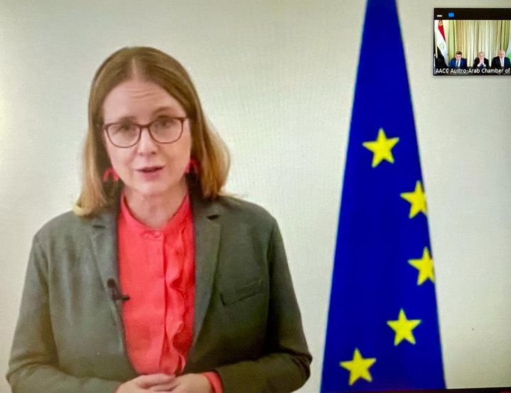 تنظيم السفارة المصرية في النمسا لفعالية اقتصادية شارك فيها أكثر من ١٢٠ شركة ومؤسسة نمساوية ودولية 26116