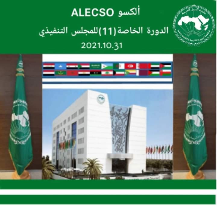 التعليم العالى: مصر تشارك افتراضيًا في الدورة الخاصة الحادية عشر للمجلس التنفيذي للألكسو تلقى د 27911
