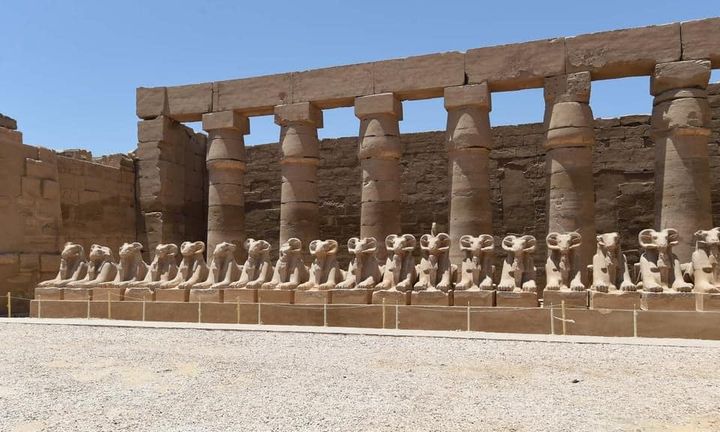 - الرئيس التنفيذي للهيئة المصرية العامة للتنشيط السياحي يتفقد مكاتب الهيئة بمحافظة الأقصر ويجتمع بقياداتها 78243