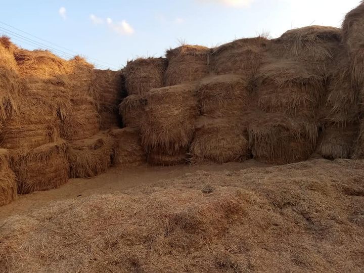البيئة تواصل جهودها للحد من نوبات تلوث الهواء الحادة د 97448