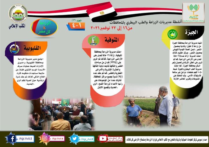 وزارة الزراعة واستصلاح الأراضي: » انفوجراف وفيديو| الزراعة في كل مصر العدد رقم ١٦ 21881